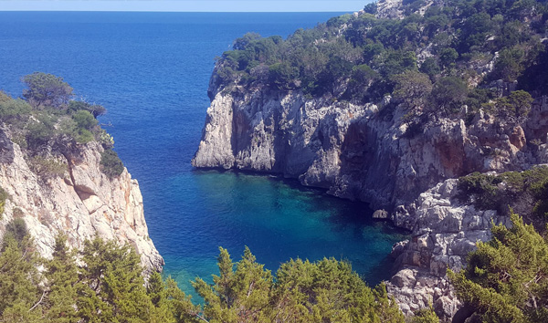 Porto pedrosu